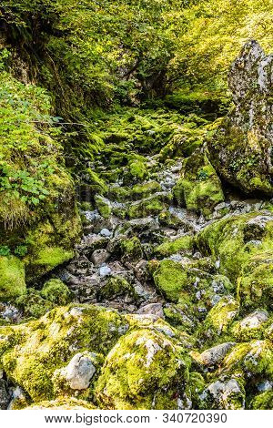 Stones Covered By Moss - National Park Prokletije, Montenegro, Europe