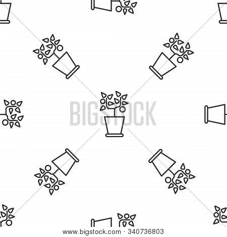 Grey Line Plant In Pot Icon Isolated Seamless Pattern On White Background. Plant Growing In A Pot. P