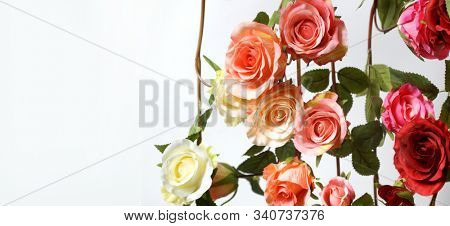 Colored roses.  Holiday flower. Wedding. High quality silk artificial flowers
