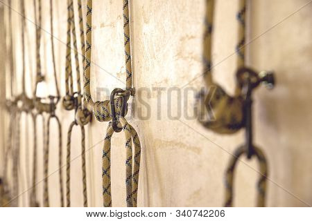 Yoga Ropes Hanging On Empty Studio Wall. Iyengar Yoga