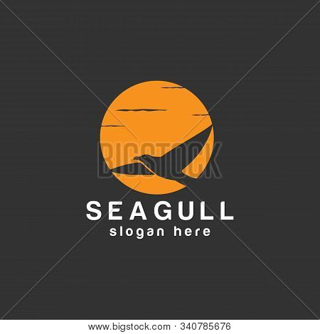 animal fly seagull bird logo design vector