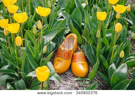 Close Up Typical Dutch National Wooden Clogs .
