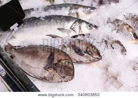 Fresh Raw Fish With Ice In Supermarket
