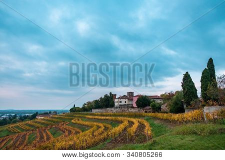Autumn Sunset In The Vineyards Of Collio Friulano