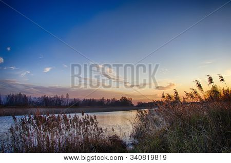 River Pier In Sedge And Calamus. Relaxation And Relaxation On The Beach. Belarus. Salihorsk.