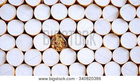 Row Of Filer Cigarettes, Close Up Image