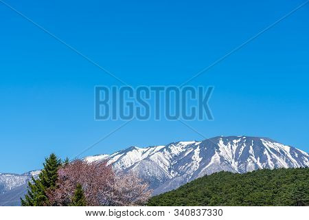Beauty Nature View, Snowcapped Mountain Range In Background, Forest And Green Grassland In Foregroun