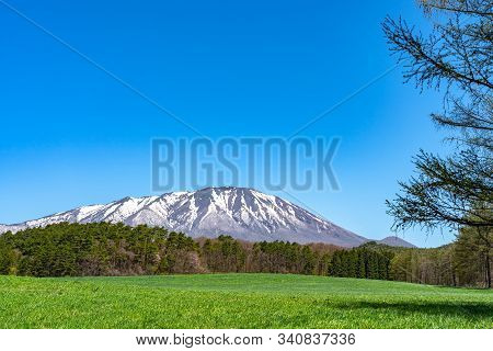 Beauty Nature View, Snowcapped Mountain Range In Background, Forest And Green Grassland In Foregroun