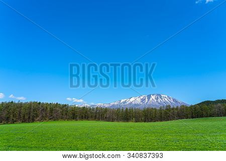 Beauty Nature View, Snowcapped Mountain Range In Background, Forest And Green Grassland In Foregroun