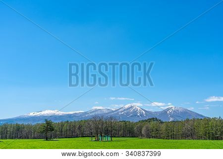 Beauty Nature View, Snowcapped Mountain Range In Background, Forest And Green Grassland In Foregroun