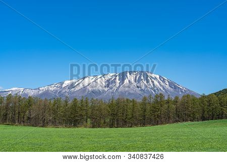 Beauty Nature View, Snowcapped Mountain Range In Background, Forest And Green Grassland In Foregroun