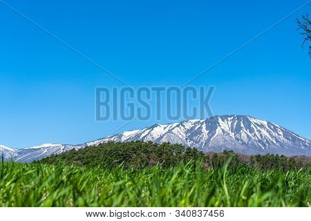 Beauty Nature View, Snowcapped Mountain Range In Background, Forest And Green Grassland In Foregroun