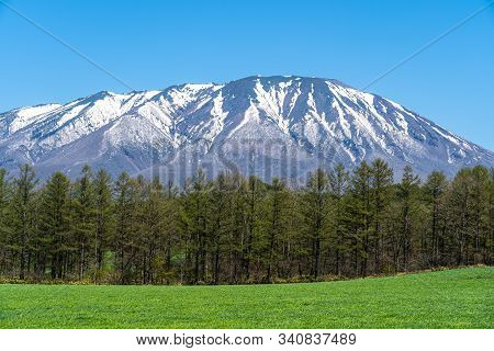 Beauty Nature View, Snowcapped Mountain Range In Background, Forest And Green Grassland In Foregroun