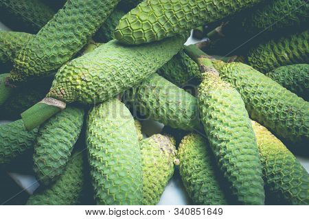 Monstera Deliciosa A Mix Of Pineapple And Banana
