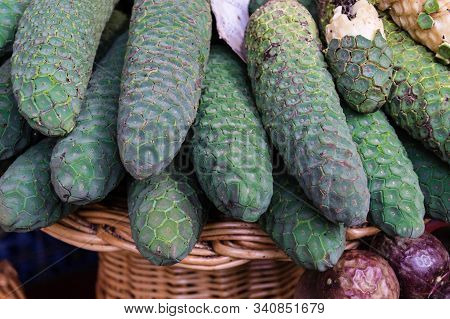 Monstera Deliciosa A Mix Of Pineapple And Banana