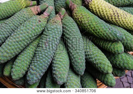 Monstera Deliciosa A Mix Of Pineapple And Banana