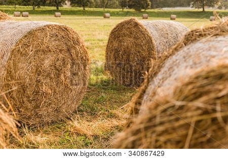 Haystack Harvest Field Landscape. Haystack Nature Agriculture Background. Photo Haystack Rolls