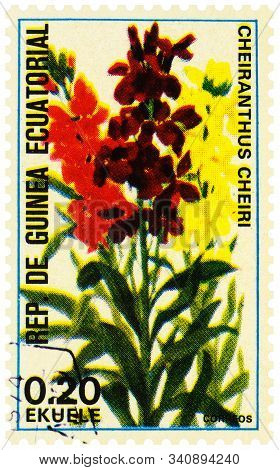 Moscow, Russia - December 20, 2019: Stamp Printed In Equatorial Guinea Shows Erysimum Cheiri (cheira
