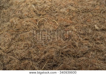 Close-up Of Coarse Bast Fiber Obtained From The Stems Of Cannabis. Natural Eco-friendly Material