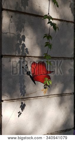 Blurry Shadows From Fresh Green Leaves Of Wild Grapevine Branch At Rough Cement Wall Surface With Re