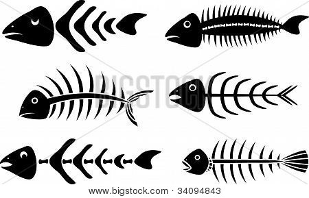 Stencils fishbones ต่าง ๆ