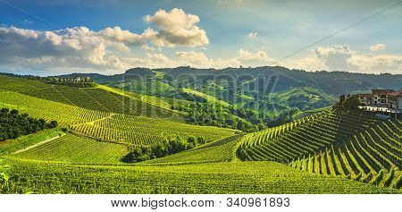 Langhe Vineyards Sunset Panorama, Serralunga D Alba, Unesco Site, Piedmont, Northern Italy Europe.