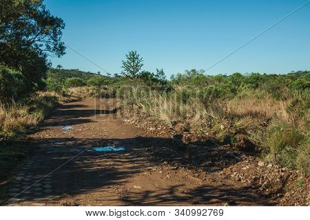 Dirt Pathway Passing Through Forest And Thicket In The Aparados Da Serra National Park, Near Cambara