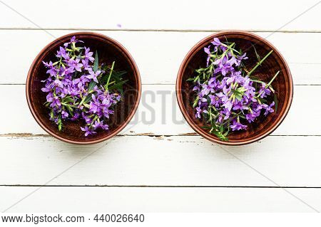 Willow-herb Or Blooming Sally