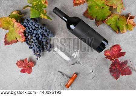 Red Wine Bottle With Black Label Mockup With Bunch Of Primitivo Grape, Green And Red Fall Grape's Le
