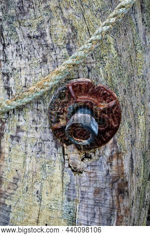 Weathered Bolt And Rope Maintain The Integrity Of A Driftwood Bridge Leading To Kalaloch Beach, Olym