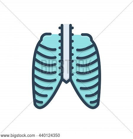 Color Illustration Icon For Thorax Ribcage Pain Chest Cage Skeleton Strnum Torso Xray Bone Vertebra