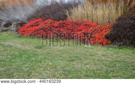 Mosaic-like Large-scale Plantings Of Shrubs Not Water-friendly. Overgrown Slopes Above The Highway. 