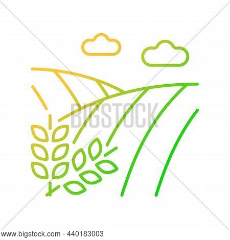 Cropland Gradient Linear Vector Icon. Crops Production And Harvest. Farming And Arable Land. Agricul