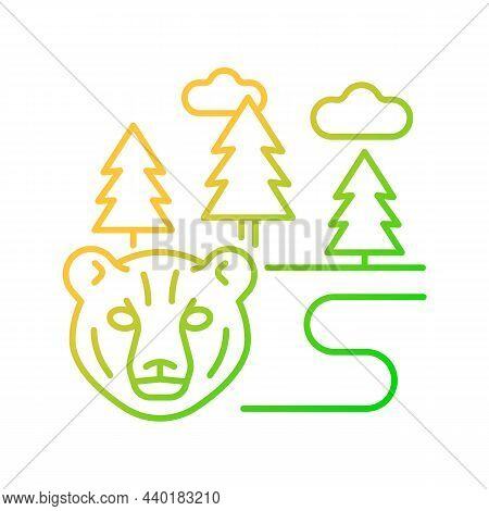 Boreal Forest Gradient Linear Vector Icon. Taiga. Forest With Evergreen Trees. Pine And Spruce Woodl