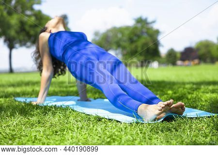 Fit Woman Stretching Body In Upward Plank Pose On Grass Park In Morning. Yoga Practicing Concept.