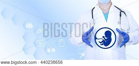 In The Hands Of A Gynecologist, An Embryo Icon, As A Symbol Of Conception And In Vitro Fertilization
