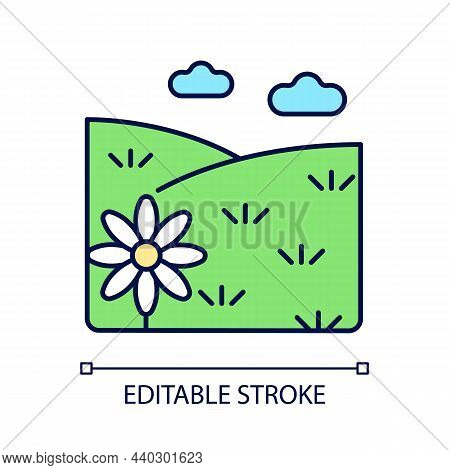 Meadow Rgb Color Icon. Grass Covered Open Land. Field With Flowers. Grassland And Pastureland. Herb 