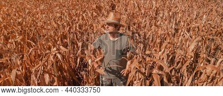 Aerial Shot Of Male Agronomist And Farmer Standing In Ripe Harvest Ready Dent Corn Field And Looking