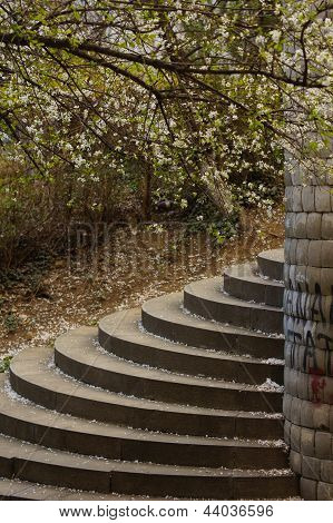 Tbilisi Parks