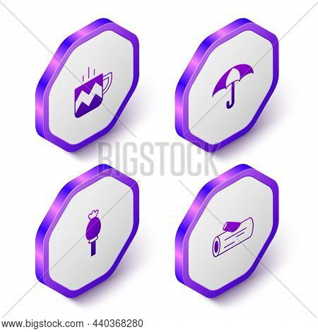 Set Isometric Cup Of Tea, Umbrella, Opium Poppy And Wooden Log Icon. Purple Hexagon Button. Vector