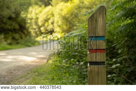 Close Up Of A Three Colour Trail Sign Post On A Forest Trail In The Loch Lomond And Trossachs Nation