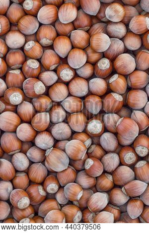 Hazelnuts. Stack Of Hazelnuts. Food Background. Hazelnut Background.