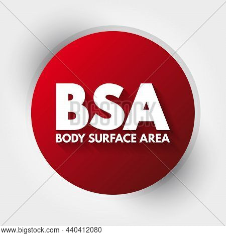 Bsa - Body Surface Area Acronym, Concept Background