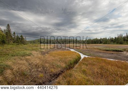 A Cloudy Day In The Wetlands At Halfway Lake Hiking Trail At Pukaskwa National Park In Ontario, Cana