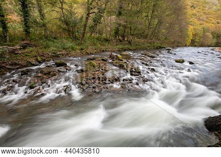 Watersmeet In Exmoor National Park