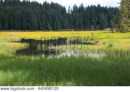 View Of The Large Arbersee At Mount Arber In The Bavarian Forest