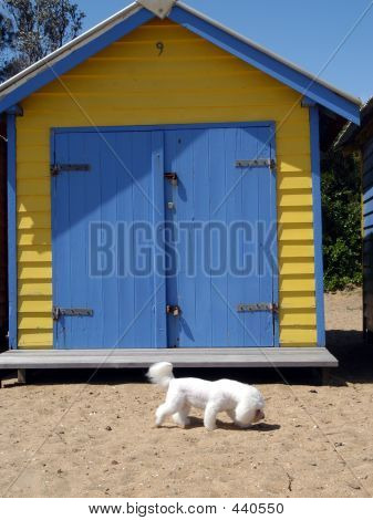 Farverige strand huse