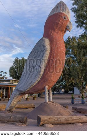 Kimba, Australia - May, 20, 2021: A Sunset Side View Of The Big Galah Tourist Attraction At Kimba