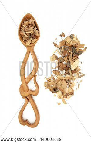Saw palmetto herb. Alternative herbal plant medicine to treat impotence, low libido, prostrate problems, toothache, muscle waste and fatigue. In a love spoon and loose on white.