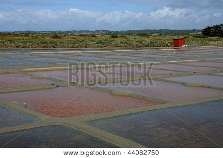 ฝรั่งเศส เกลือใน Guerande